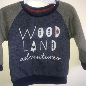 Toddler sweat shirt